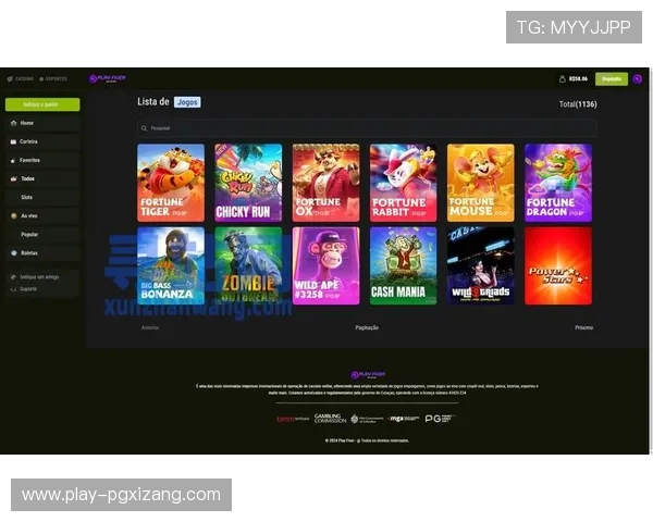 PG电子官网入口官方入口更新公告，确保每位玩家都能顺利进入游戏